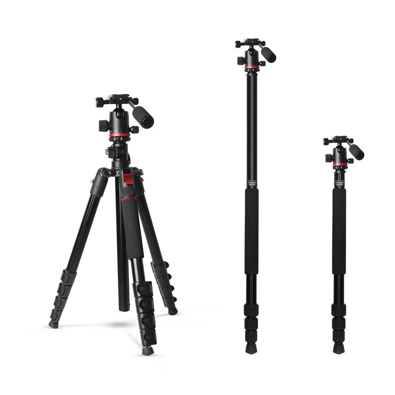 Digitek DTR-530 BH Multi-Angle DV Tripod Cum Monopod | Ball Head, Quick Release, Aluminium Alloy for DSLR Camera Videography