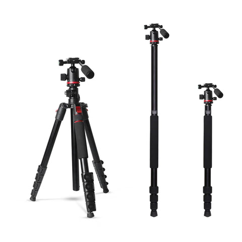 Digitek DTR-530 BH Multi-Angle DV Tripod Cum Monopod | Ball Head, Quick Release, Aluminium Alloy for DSLR Camera Videography