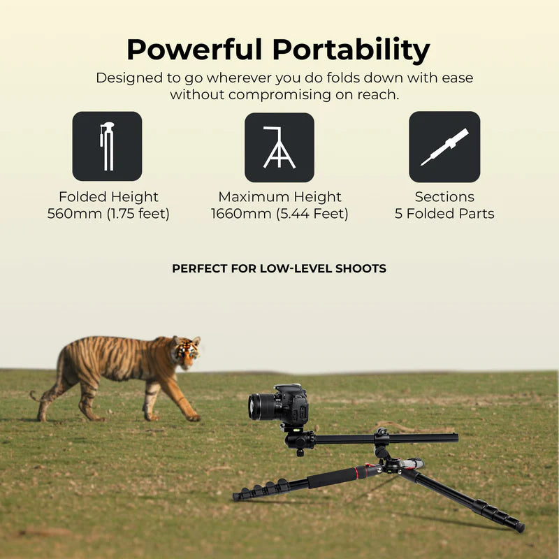 Digitek DTR-530 BH Multi-Angle DV Tripod Cum Monopod | Ball Head, Quick Release, Aluminium Alloy for DSLR Camera Videography