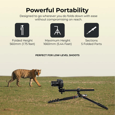 Digitek DTR-530 BH Multi-Angle DV Tripod Cum Monopod | Ball Head, Quick Release, Aluminium Alloy for DSLR Camera Videography