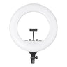 Digitek Platinum DPRL-19H Professional LED Ring Light 80W | AC/DC Power, 7200LM, CRI 97+, 3200K-5600K, 360° Phone Holder